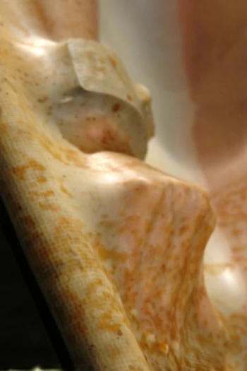 قناة Closeup Fetish